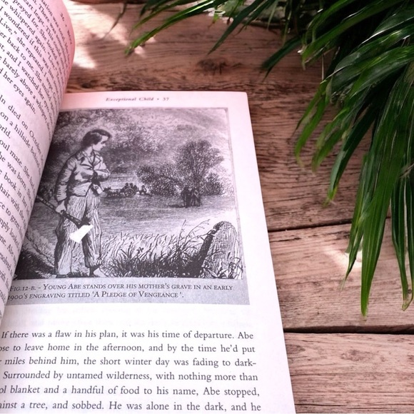 Abraham Lincoln: Vampire Hunter by Seth Grahame-Smith - Paperback - Picture 4 of 5